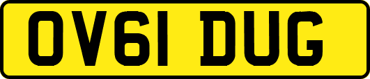 OV61DUG