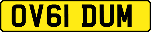 OV61DUM