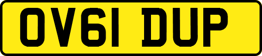OV61DUP