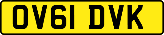 OV61DVK
