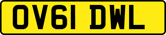 OV61DWL