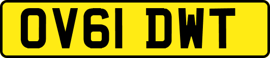 OV61DWT