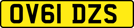 OV61DZS