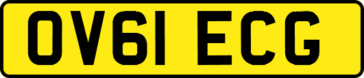 OV61ECG