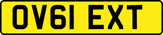 OV61EXT