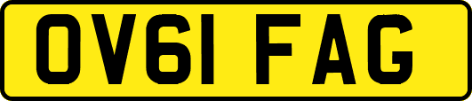 OV61FAG