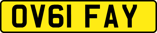 OV61FAY