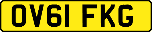 OV61FKG