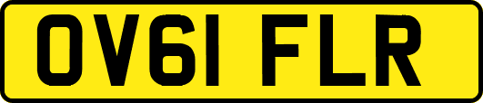 OV61FLR