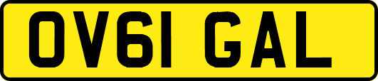 OV61GAL