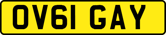 OV61GAY