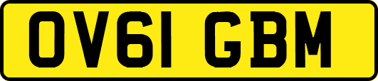 OV61GBM