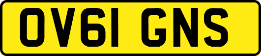 OV61GNS
