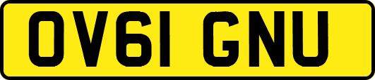 OV61GNU