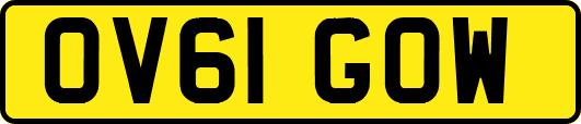 OV61GOW