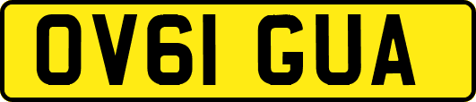 OV61GUA