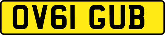 OV61GUB
