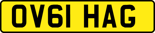 OV61HAG