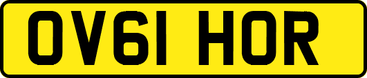 OV61HOR