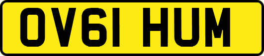 OV61HUM