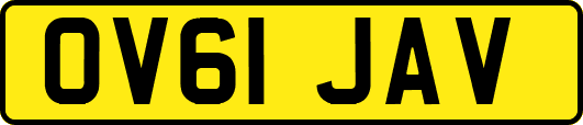 OV61JAV