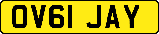 OV61JAY