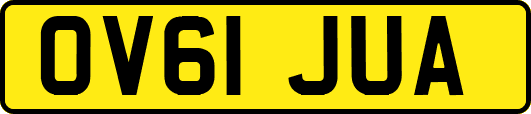 OV61JUA