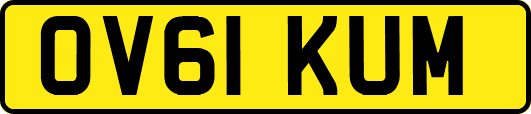OV61KUM