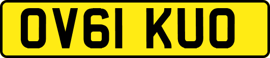 OV61KUO
