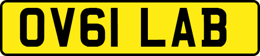 OV61LAB