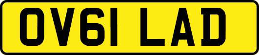 OV61LAD