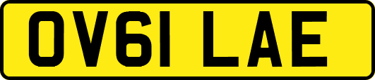OV61LAE