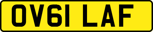 OV61LAF