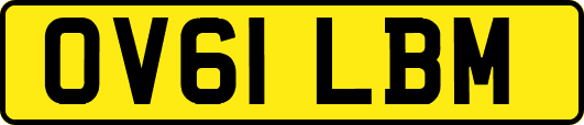OV61LBM