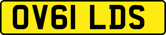 OV61LDS