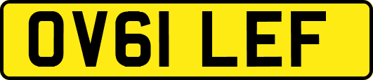 OV61LEF