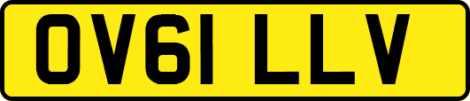 OV61LLV