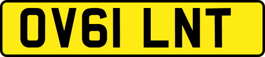 OV61LNT