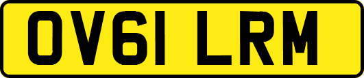 OV61LRM