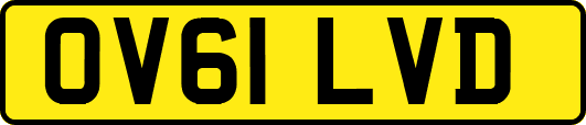OV61LVD