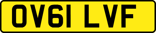 OV61LVF