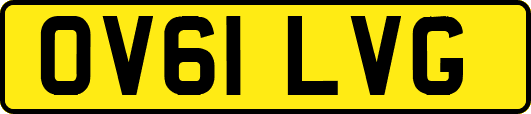 OV61LVG