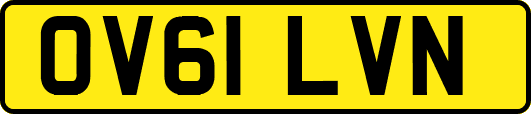 OV61LVN