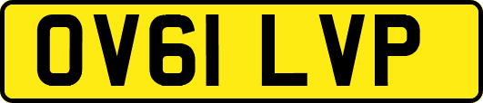 OV61LVP