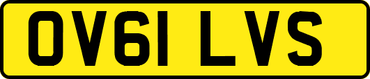 OV61LVS