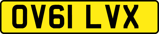 OV61LVX