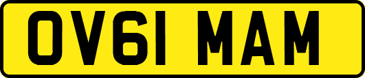 OV61MAM