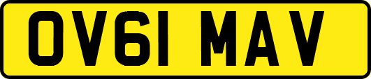 OV61MAV