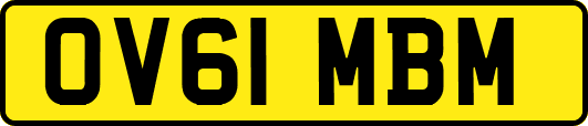 OV61MBM