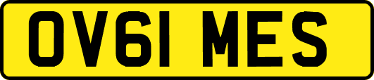 OV61MES